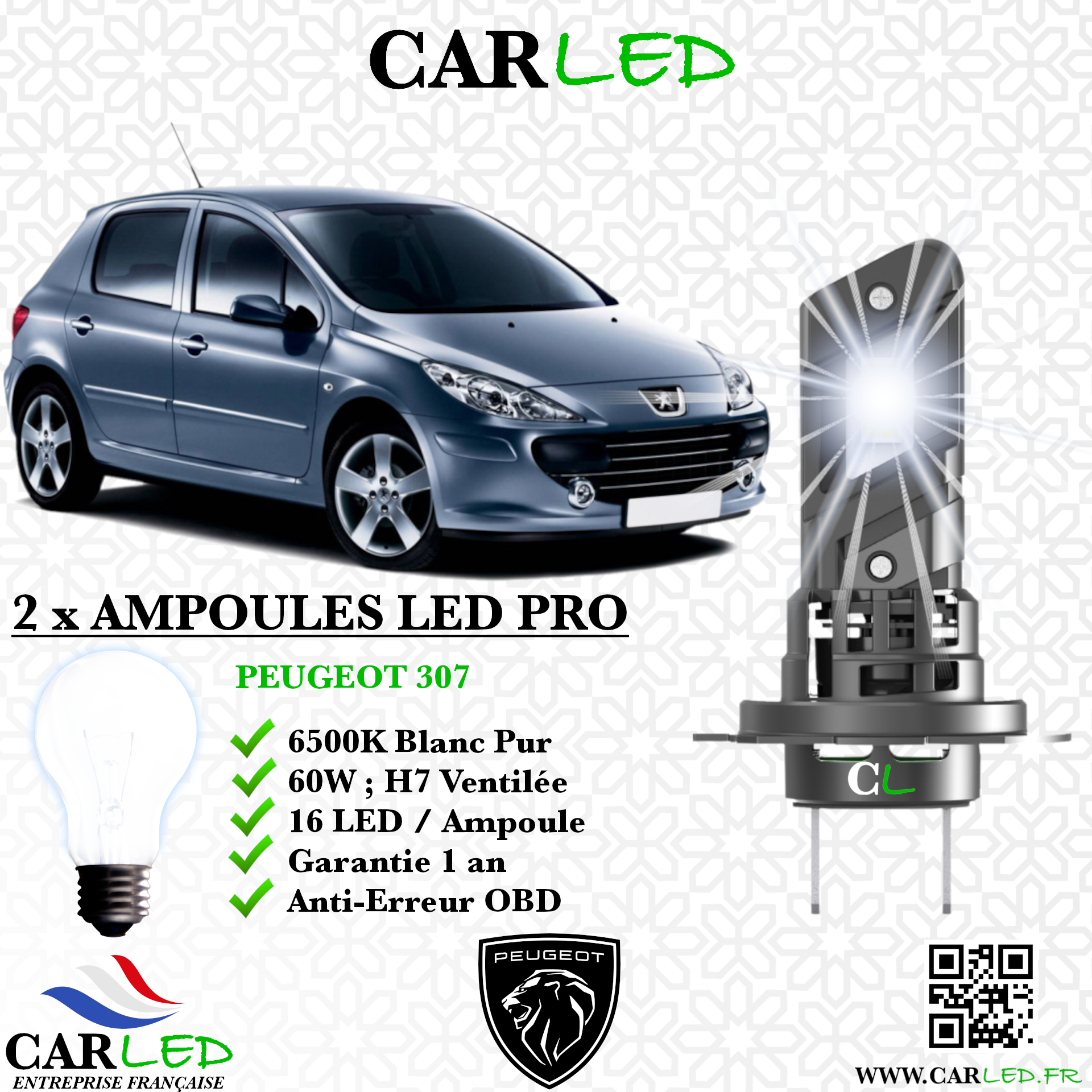 KIT AMPOULE LED PEUGEOT 307