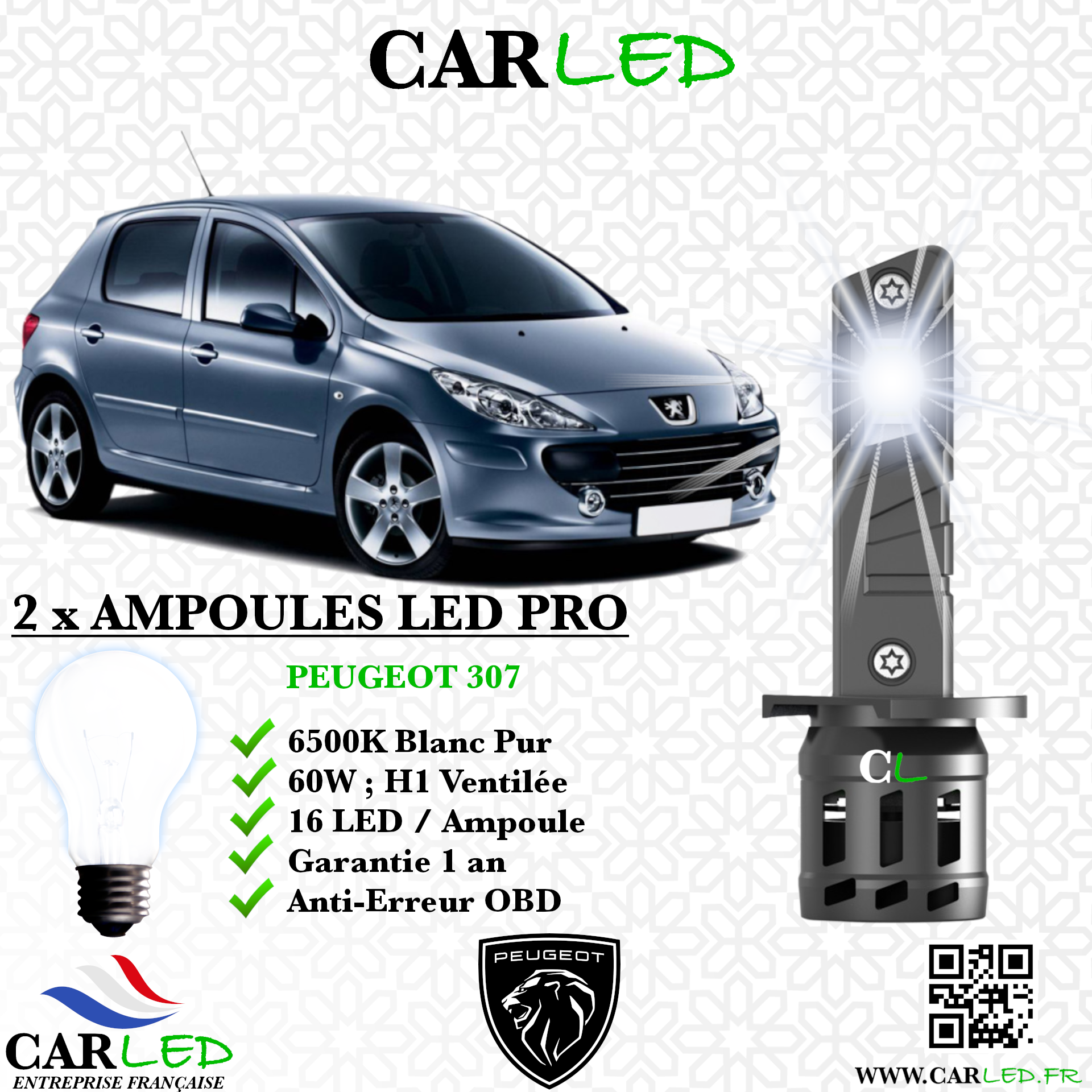 KIT AMPOULE LED PEUGEOT 307