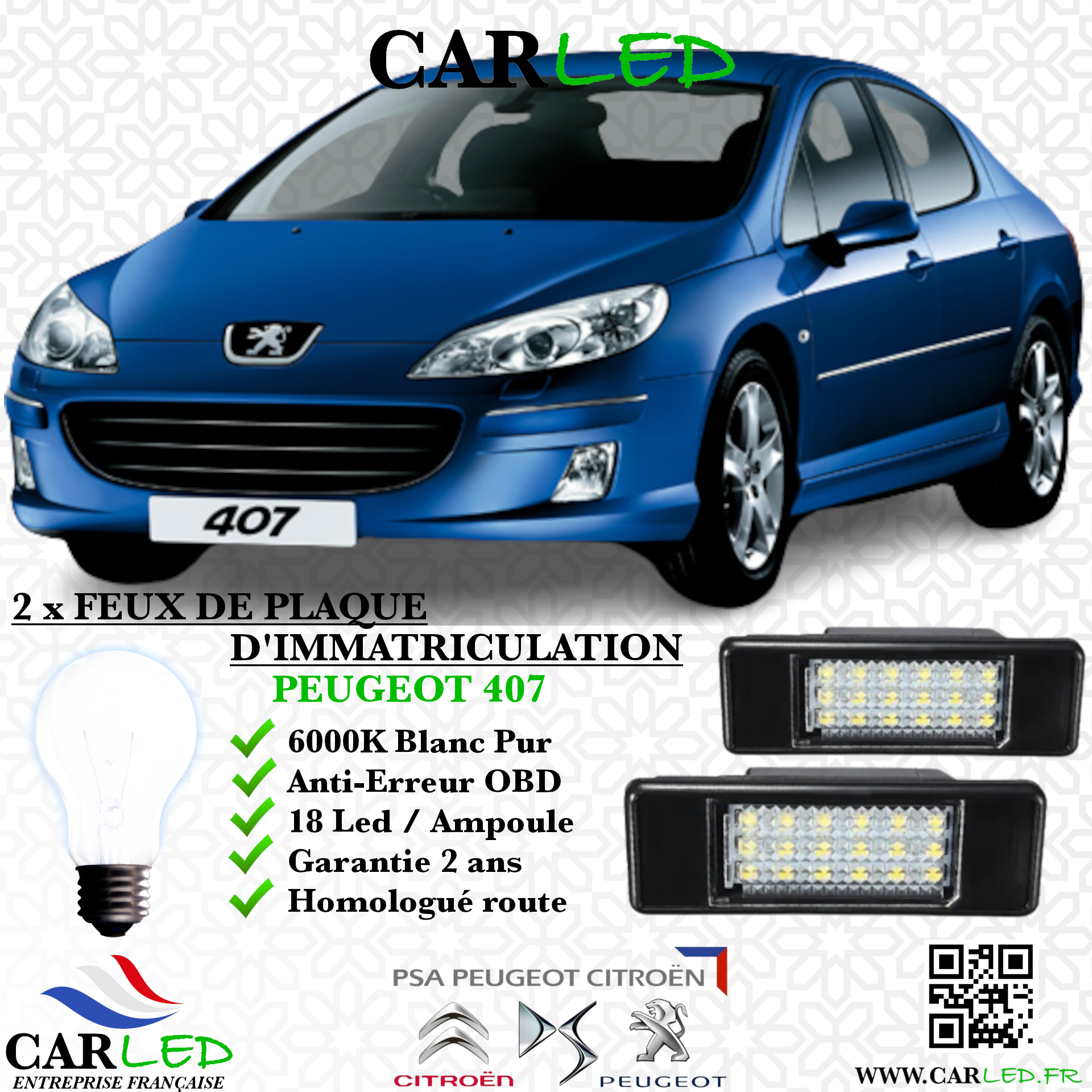 2x Feux de plaque d'immatriculation LED Peugeot 407